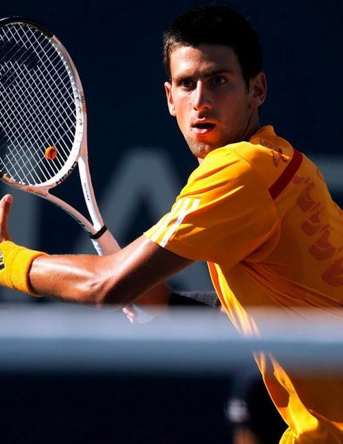 在此次更新 在此次更新